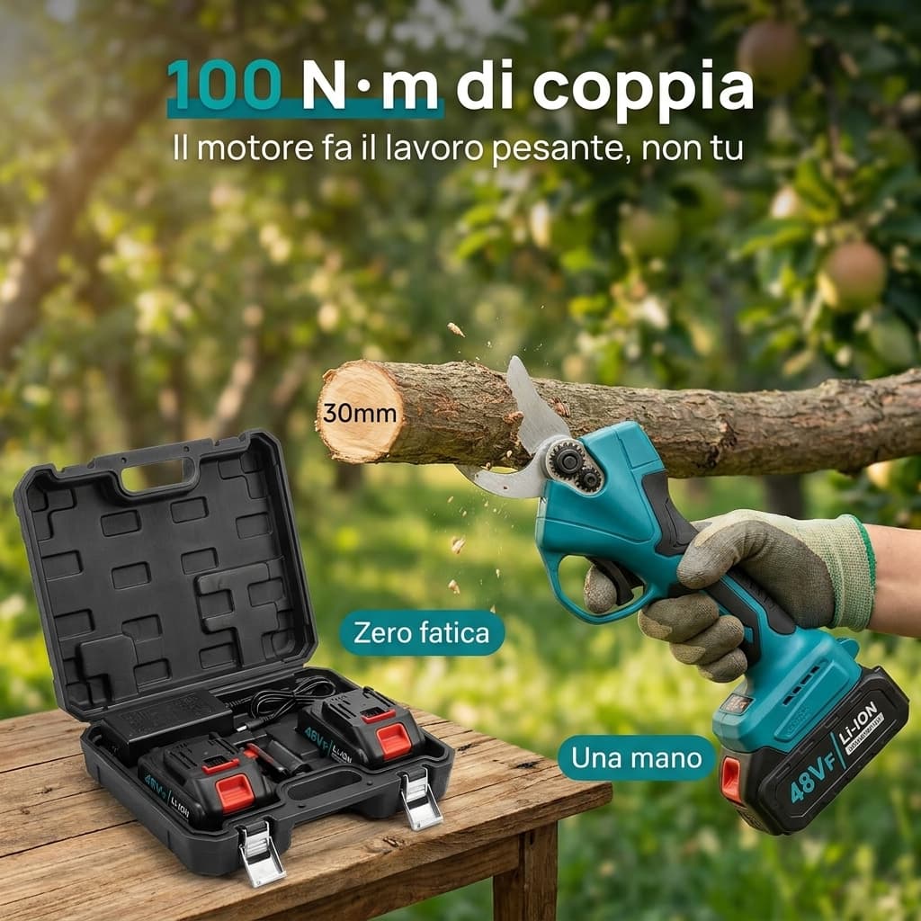 100 N·m di coppia